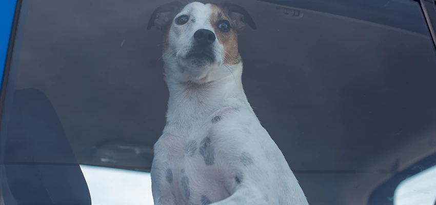 Car Lockout Solutions in Pasadena, California